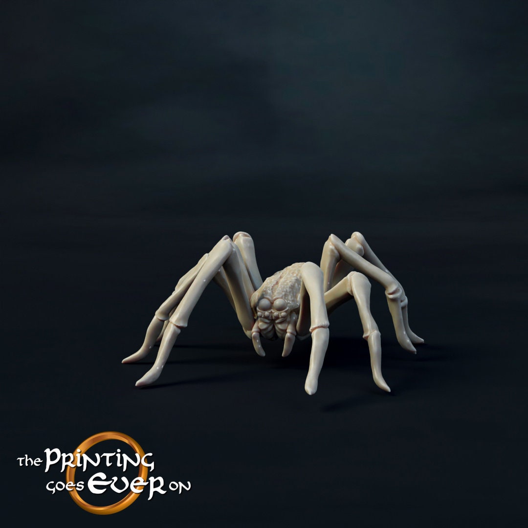 Giant Spider Set 28mm miniatures dnd minis fantasy miniatures dungeons and dragons miniatures for painting wargaming miniatures tabletop