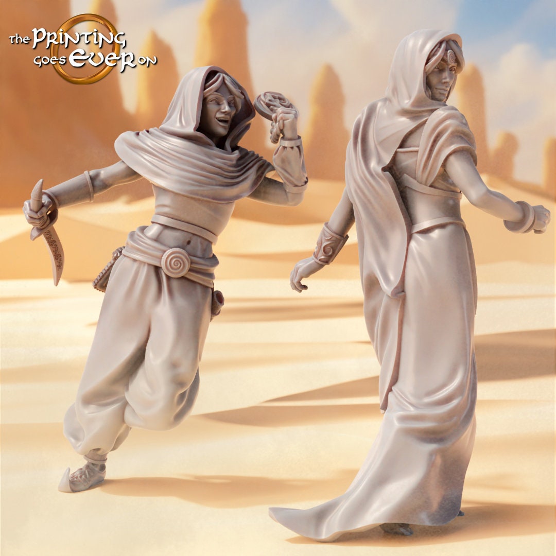 Easterner princess lady and rogue 28mm miniatures dnd minis fantasy miniatures dungeons and dragons miniatures  wargaming miniatures