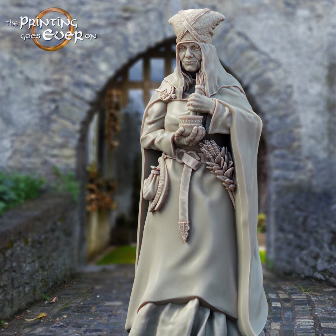 Medieval Citizens of Whitcaester Healer 28mm dnd dungeon and dragons fantasy wargaming scatter terrain Pathfinder tabletop games