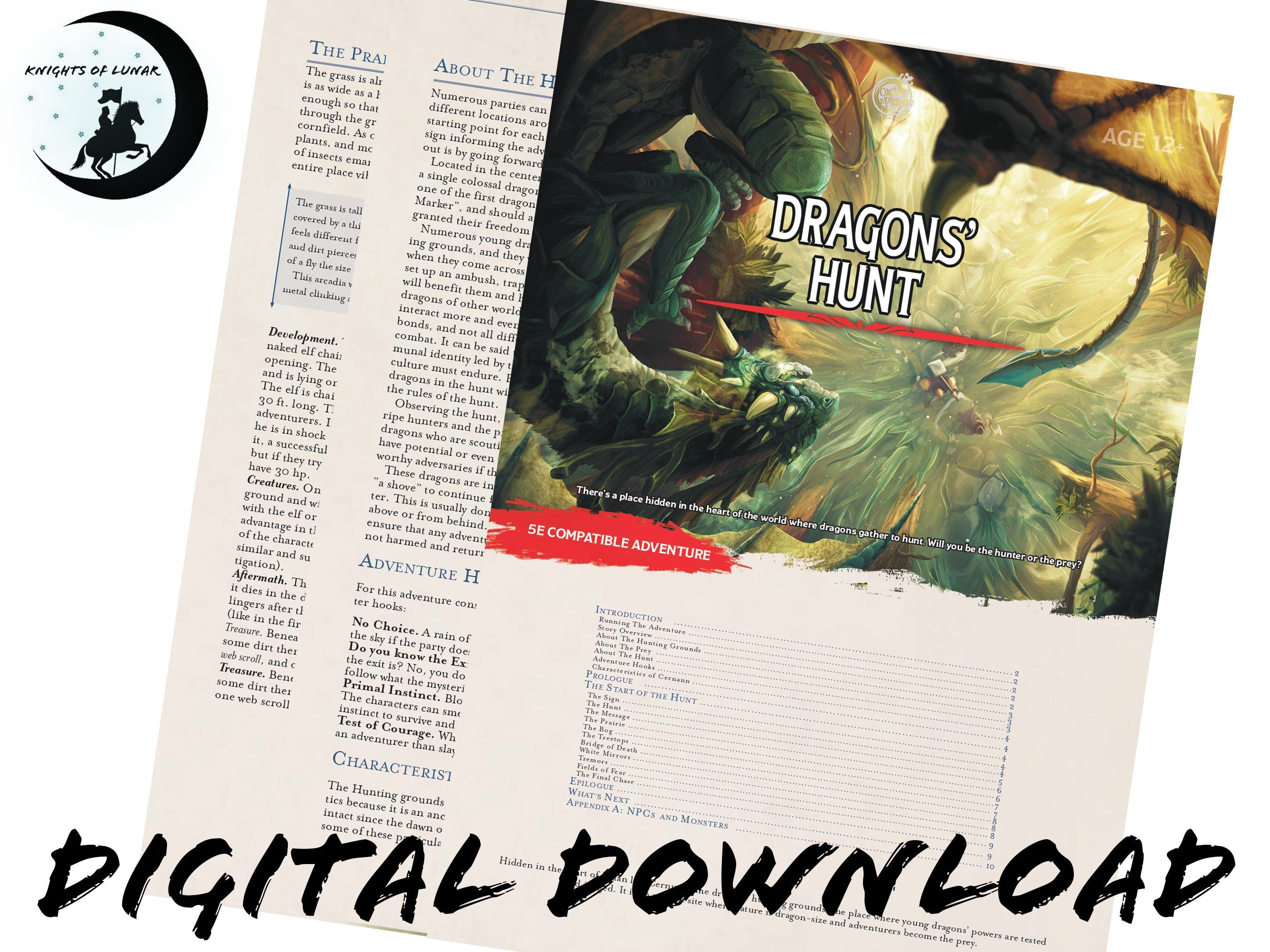 dnd Dungeon Master's 5e adventure story dragon's hunt PDF guide for Dungeons and Dragons 5th edition dnd character stats RPG tabletop game.