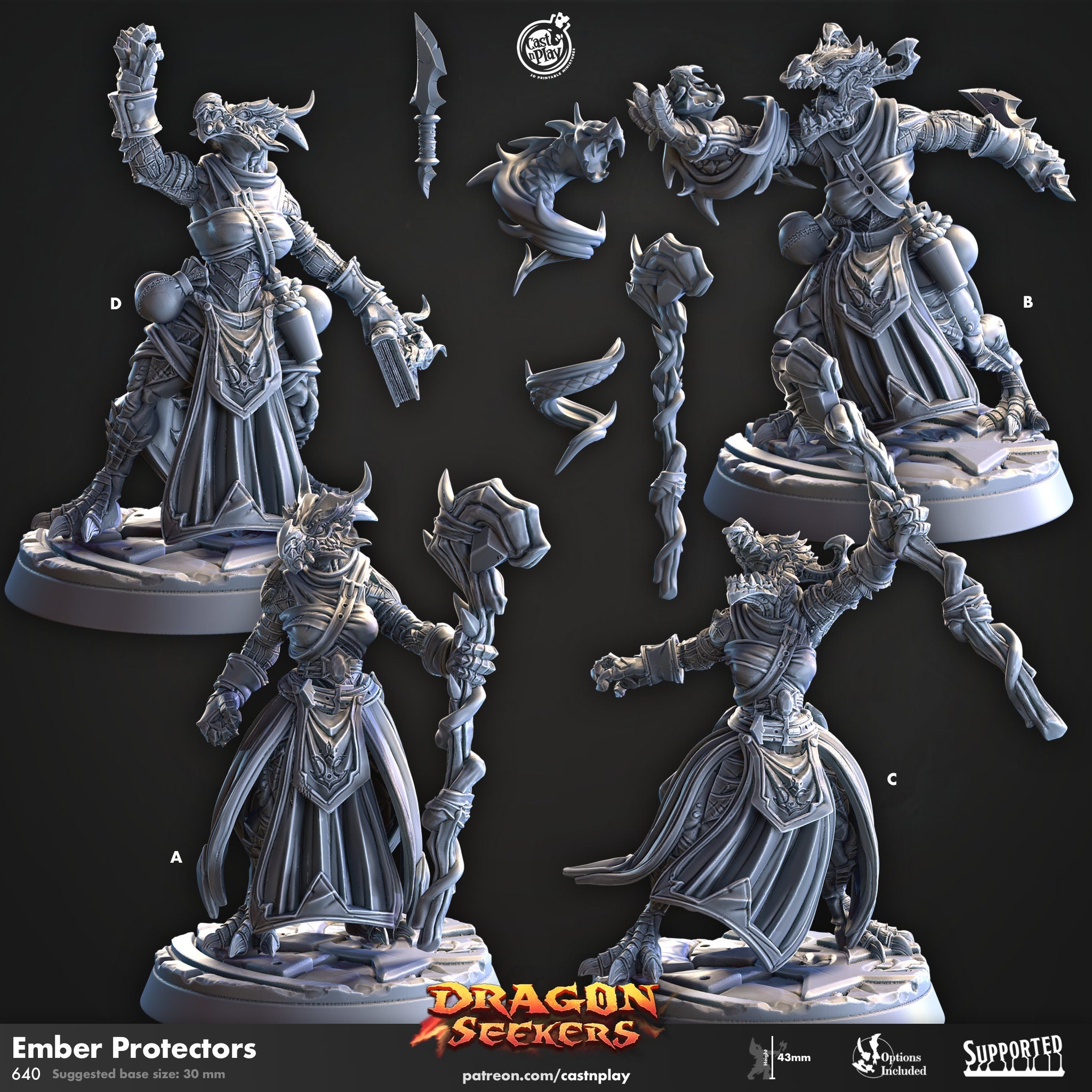 Dragon Seekers Ember Protectors Wizard miniatures dnd fantasy tabletop games army
