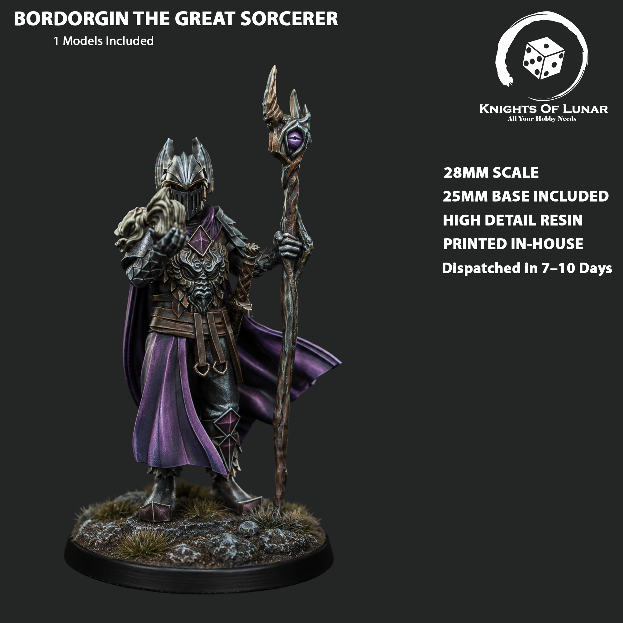 Bordorgin the Great Sorcerer 28mm Resin Miniature – Fantasy Wizard for DnD and Wargaming