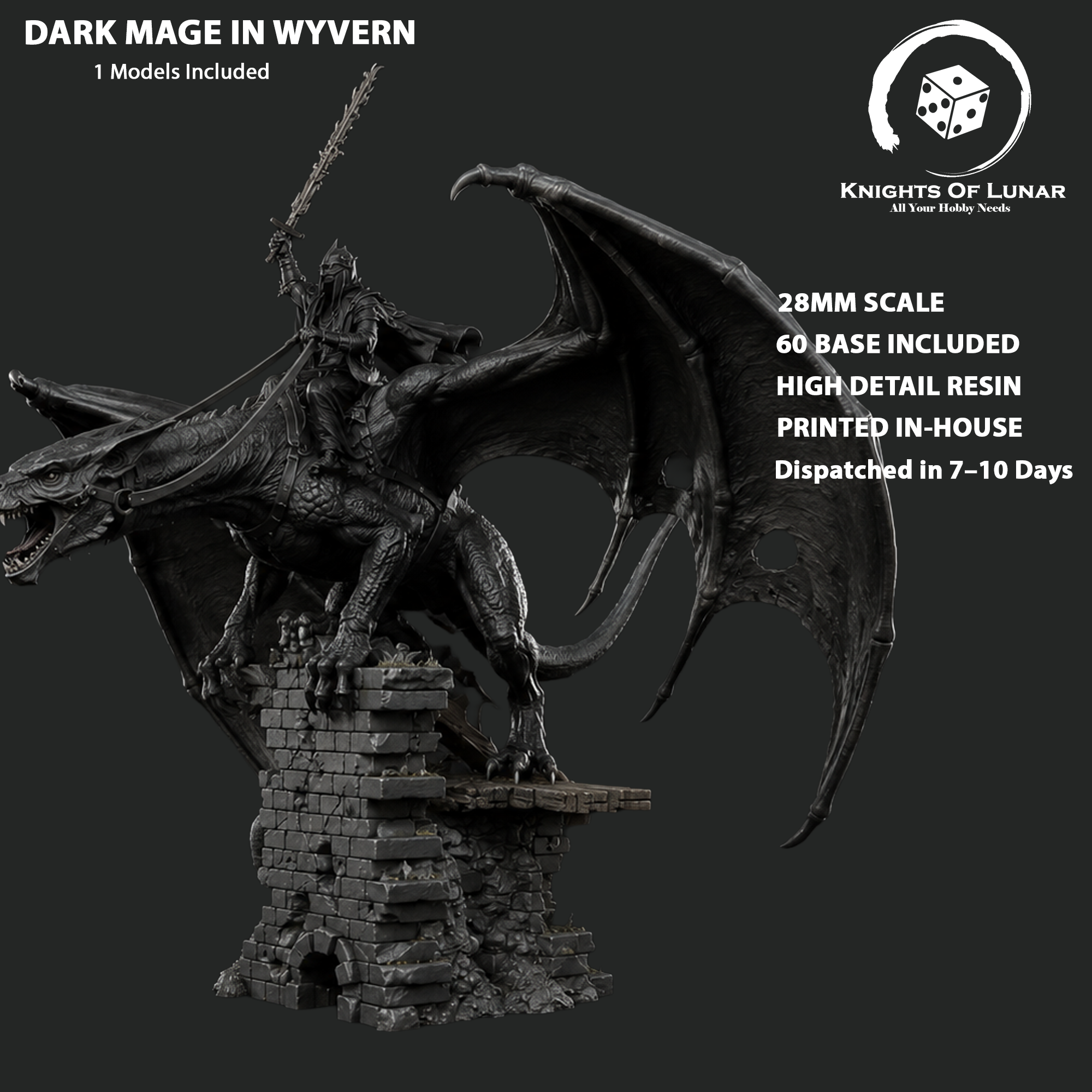 Wyvern with Dark Mage 28mm Resin Miniature – Fantasy Dragon Rider for DnD and Wargaming
