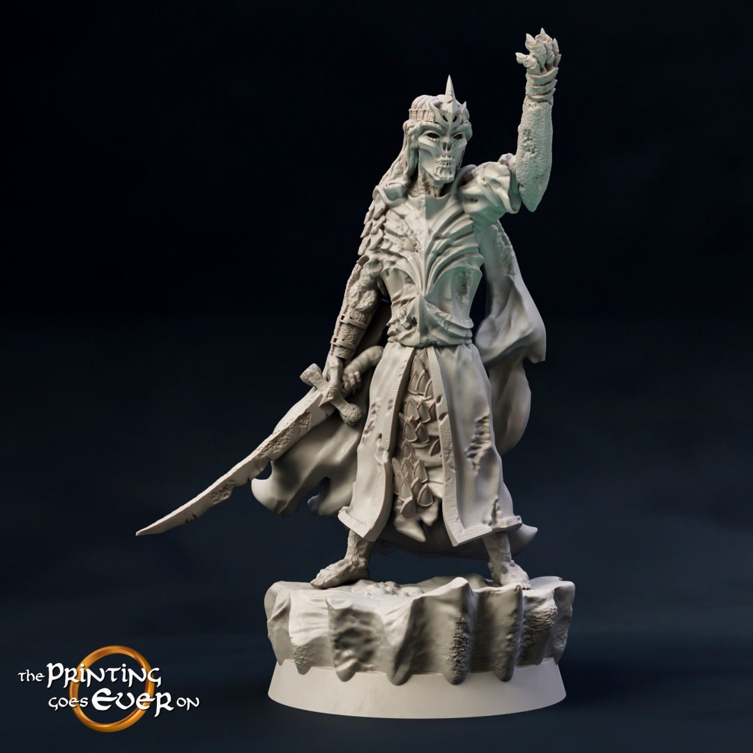 undead Army wight Prince 28mm miniature dungeon and dragons fantasy wargaming miniature tabletop fantasy wargame miniature painting dnd