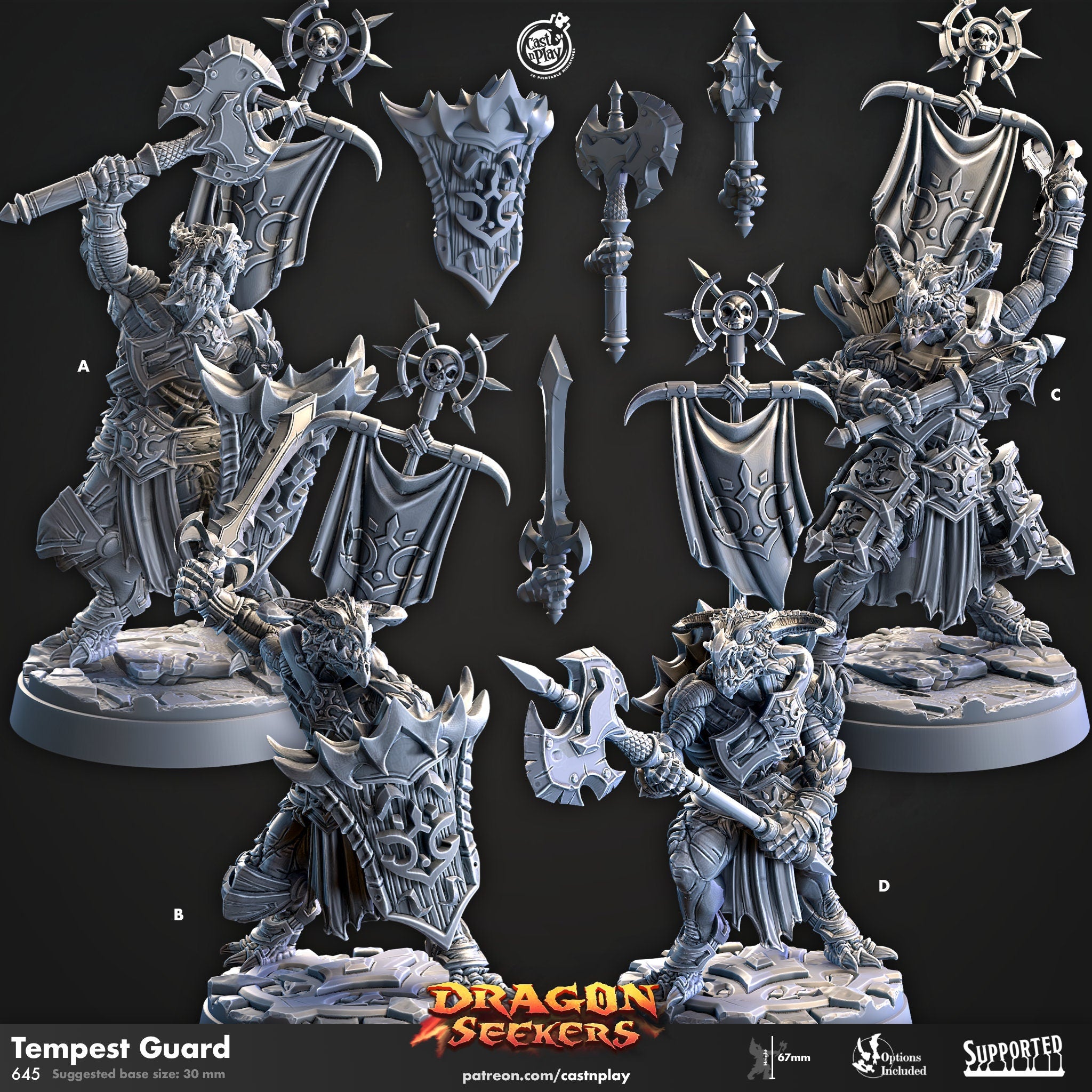 Dragon Seekers Tempest Guard LOTR dnd fantasy tabletop games 32mm