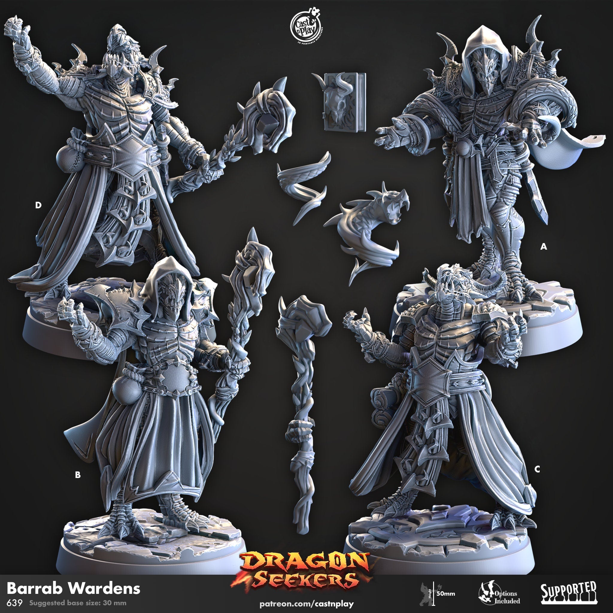 Dragon Seekers Barrab Wardens Wizard spell castors dnd fantasy tabletop games 32mm army miniatures