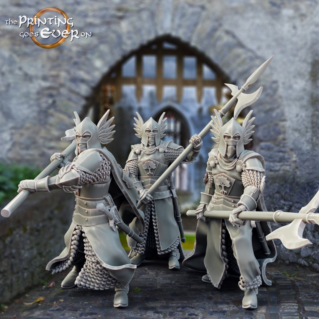 King’s Guards 28mm dnd miniature dungeon and dragons fantasy wargaming miniature  tabletop wargame  fantasy miniature for painting