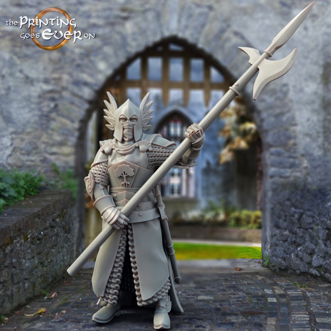 Gonthan Soldiers Bundle 28mm miniatures dnd gift fantasy miniatures dungeons and dragons wargaming miniatures tabletop wargames